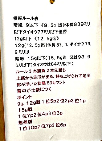 ８月９日プチ相撲９ｇ戦！